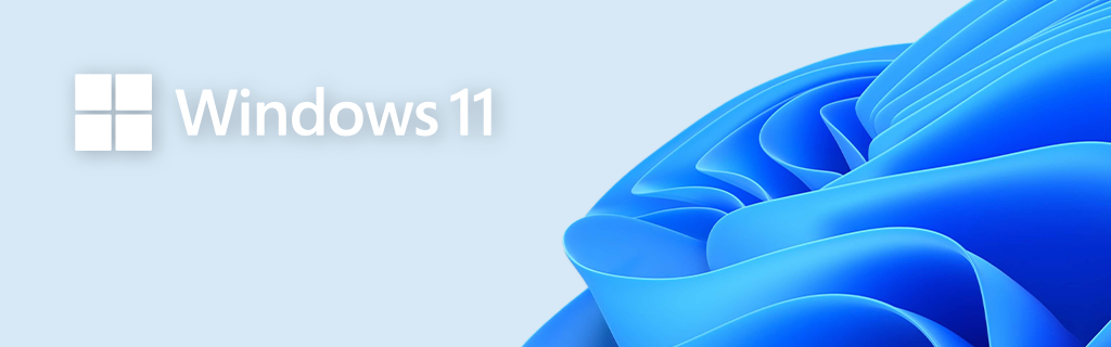 Opciones de actualización a Windows 11