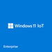 Microsoft Windows 11 IoT Enterprise 2024 LTSC de gama alta